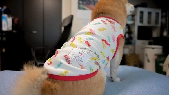 キャンディ柄　タンクトップ　犬　服　ドッグウェア　受注生産　【3S〜2L/ダックス/フレブル】　M〜２２００円 3枚目の画像