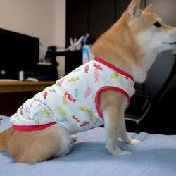 キャンディ柄　タンクトップ　犬　服　ドッグウェア　受注生産　【3S〜2L/ダックス/フレブル】　M〜２２００円 4枚目の画像