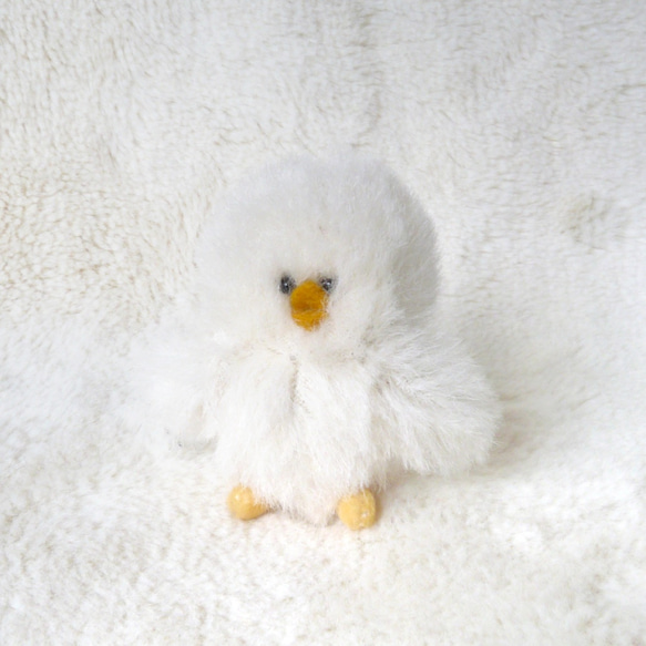 生産終了　サンレモン　キジトラ　ひよこ　白うさぎ　メルカリのみ出品 Amazon.co.jp: サンレモンひざシリーズ限定生産終了 ひざ