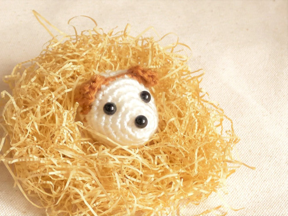 【じゃっちゃん３（現品一点物）】マグネット　ブローチ　ジャックラッセルテリア　犬プチギフト　かわいい　犬雑貨　犬 2枚目の画像