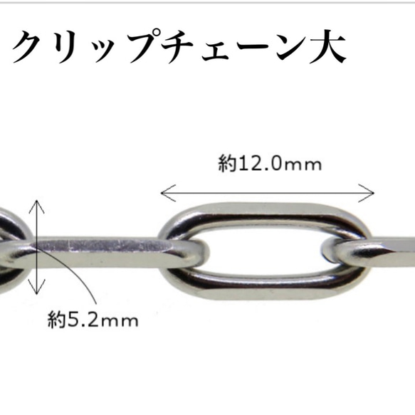 普通郵便送料無料◇サージカルステンレスクリップチェーン大10cm⭐️切り売り⭐️ 3枚目の画像