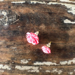 玫瑰·耳環[薔薇粉] pinkrose耳釘 第2張的照片
