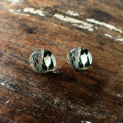 猫ピアス1[ハチワレ猫・ガラス] Cat Stud Earring 1枚目の画像