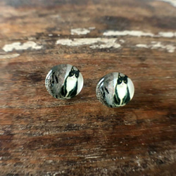 猫ピアス1[ハチワレ猫・ガラス] Cat Stud Earring 3枚目の画像