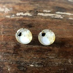 猫ピアス5[三毛猫・ガラス] Mike-neko cat Stud Earring 1枚目の画像