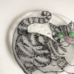 限定販売***ガラス皿まるねこ[しましま・ブラック]土井朋子 RoundplateBlacktabbycat 4枚目の画像