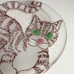 限定販売***ガラス皿まるねこ[しましま・ブラウン]土井朋子 RoundplateBrowntabbycat 2枚目の画像