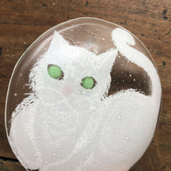 限定販売***ガラス皿まるねこ[ホワイト]土井朋子 Roundplatewhitecat 4枚目の画像