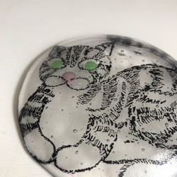 限定販売***ガラス皿まるねこ[しましま・ブラックB]土井朋子 RoundplateBlacktabbycat 5枚目の画像