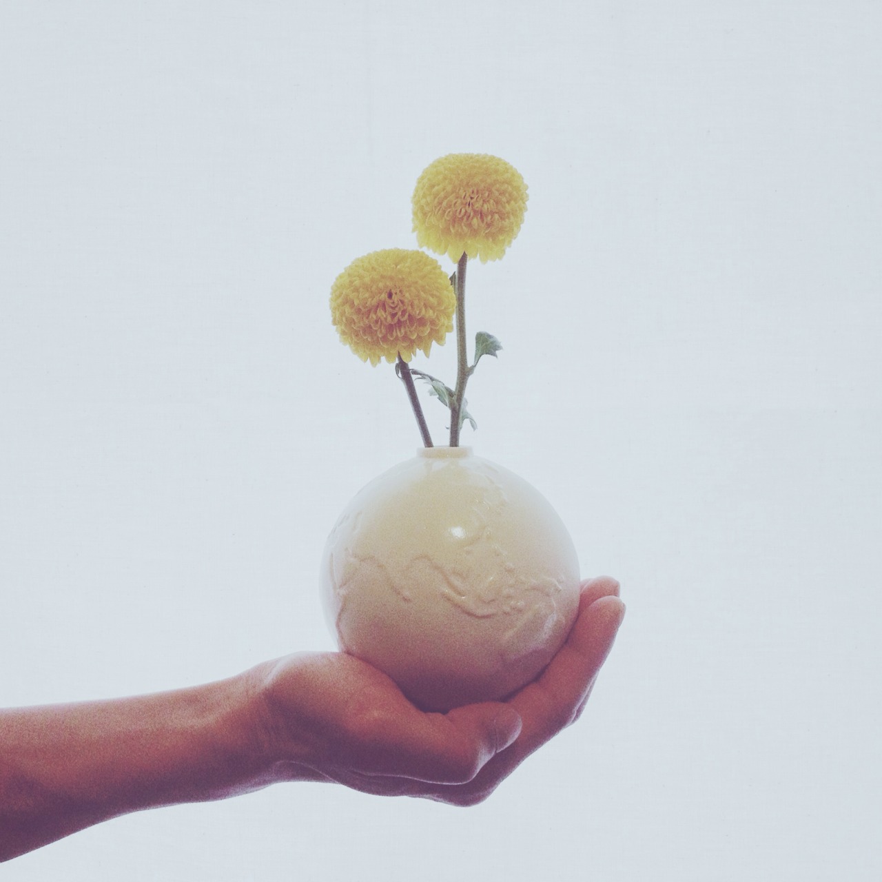 地球の一輪挿し