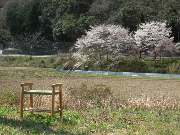 編み座楽立ちスツール 2枚目の画像