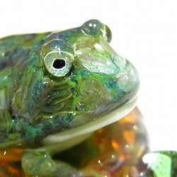 Belt frog 2 [kengtaro / Kentaro]葉子包裹的青蛙玻璃吊墜 第2張的照片