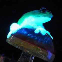 アロマポット Frog on a Mshuroom 参 (台付き)【 kengtaro / ケンタロー 】カエル　キノコ 5枚目の画像