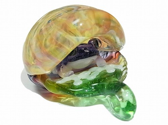 Frog in the Shell 弐 【 kengtaro / ケンタロー 】 カエル ボロシリケイトガラス 職人 2枚目の画像