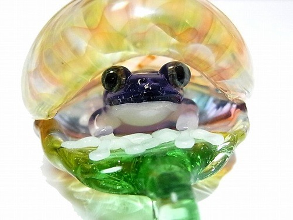 Frog in the Shell 弐 【 kengtaro / ケンタロー 】 カエル ボロシリケイトガラス 職人 5枚目の画像