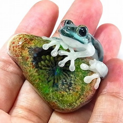 『 彩 いろどり 』【 kengtaro / ケンタロー 】 カエル ボロシリケイトガラス 職人 作家 蛙　一点もの 9枚目の画像