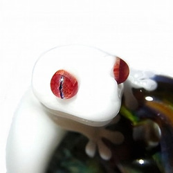 珠寶殺藻聖[kengtaro /健太郎]寶石壁虎壁虎硼矽酸鹽玻璃工匠作家蛙 第8張的照片