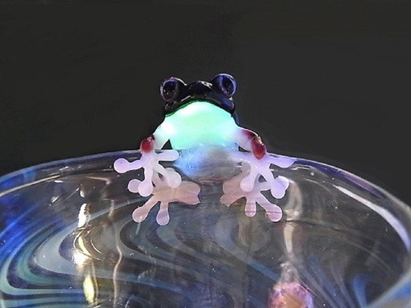 Frog Glass 【kengtaro/ケンタロー】 カエル ボロシリケイトガラス 職人 作家 蛙 グラス コップ 3枚目の画像