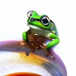 Frog Glass 雨蛙 【kengtaro/ケンタロー】 カエル ボロシリケイトガラス 職人 作家 蛙　湯飲みグラス 3枚目の画像