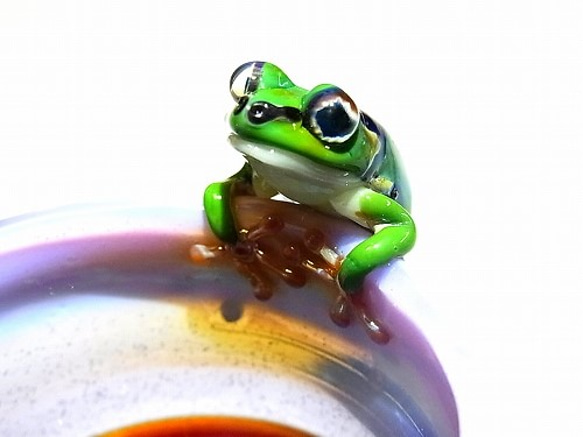 Frog Glass 雨蛙 【kengtaro/ケンタロー】 カエル ボロシリケイトガラス 職人 作家 蛙　湯飲みグラス 3枚目の画像