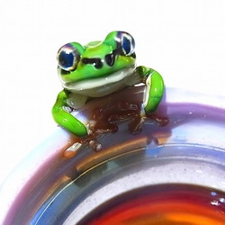 Frog Glass 雨蛙 【kengtaro/ケンタロー】 カエル ボロシリケイトガラス 職人 作家 蛙　湯飲みグラス 4枚目の画像