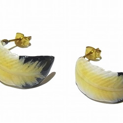 的“羽毛耳環”配件飾品羽鳥黃銅可愛獨特的女人味天然進口翅膀 第1張的照片