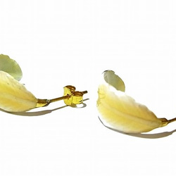 的“羽毛耳環”配件飾品羽鳥黃銅可愛獨特的女人味天然進口翅膀 第3張的照片