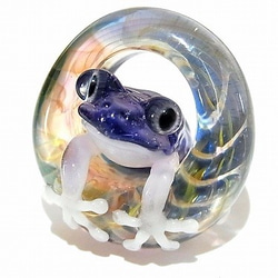 青蛙的腳步在一個水坑七條kengtaro健太郎]小漣漪硼矽玻璃工匠作家青蛙蔓延 第1張的照片