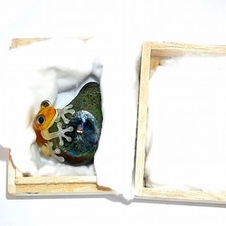 『 彩 いろどり (弐) 』【 kengtaro / ケンタロー 】 カエル ボロシリケイトガラス 職人 作家 蛙 　和 10枚目の画像