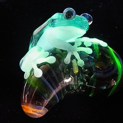 蛙寶石（珠寶）7 [kengtaro健太郎]珠寶和青蛙硼矽酸鹽玻璃工匠作家蛙 第3張的照片