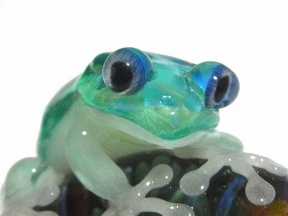 蛙寶石（珠寶）7 [kengtaro健太郎]珠寶和青蛙硼矽酸鹽玻璃工匠作家蛙 第5張的照片