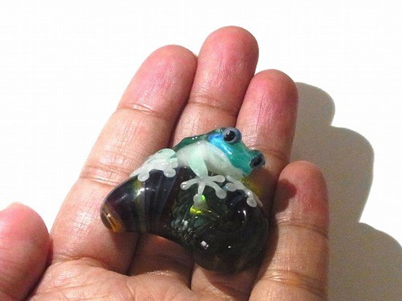 蛙寶石（珠寶）7 [kengtaro健太郎]珠寶和青蛙硼矽酸鹽玻璃工匠作家蛙 第9張的照片