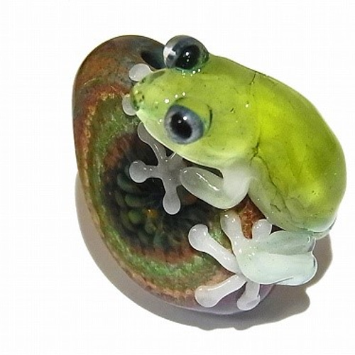 かえる品 41k1mQkD8qL._SS200_.jpg