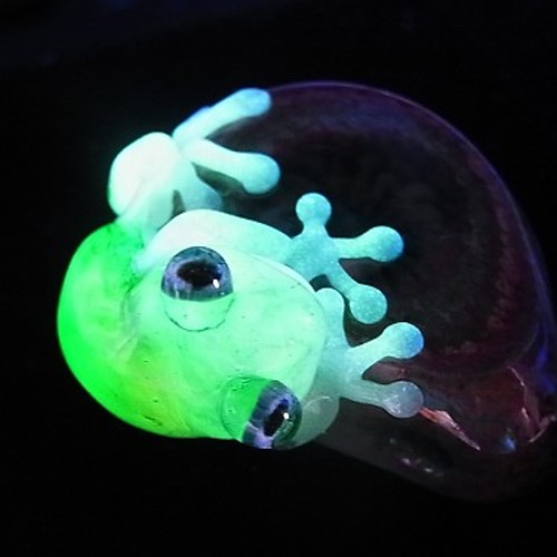 彩 いろどり (参) 』【 kengtaro / ケンタロー 】 カエル ボロ