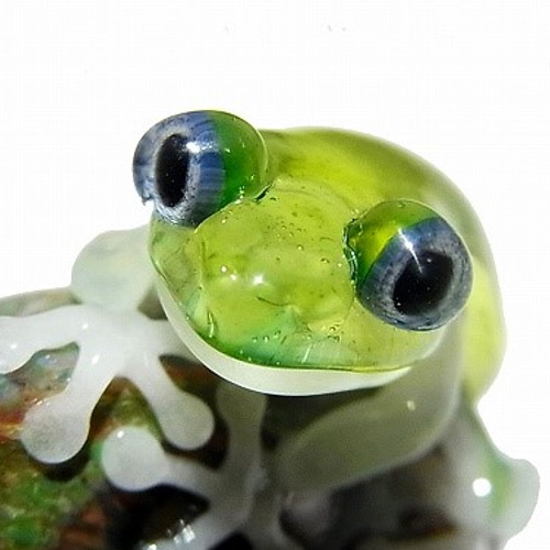 カエル♡ DEN reptiles on X: 