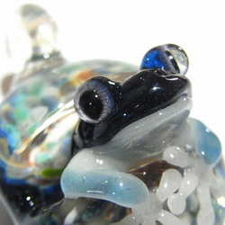 捉迷藏[kengtaro / Kentaro]青蛙硼矽酸鹽玻璃工匠作家青蛙黑光 第6張的照片