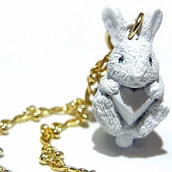 幸袋魅力[奎爾焦糖]可愛的兔子兔兔心臟結腸女裝女裝 第1張的照片