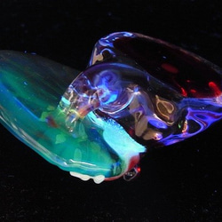 水邊 [kengtaro/健太郎] 雨蛙硼矽酸鹽玻璃工匠作家青蛙樹蛙一點真正罕見 第4張的照片