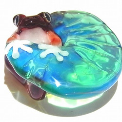 水邊 [kengtaro/健太郎] 雨蛙硼矽酸鹽玻璃工匠作家青蛙樹蛙一點真正罕見 第5張的照片