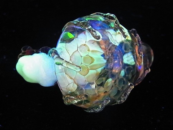 雨後【kengtaro】青蛙硼矽玻璃工匠作家青蛙蛙一分 第4張的照片