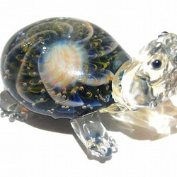 烏龜【kengtaro】吊頂高硼矽玻璃工匠作家獨特的烏龜烏龜 第3張的照片