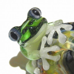 Umemi 8【kengtaro / Kentaro】當雨季硼矽酸鹽玻璃工匠青蛙青蛙 第5張的照片