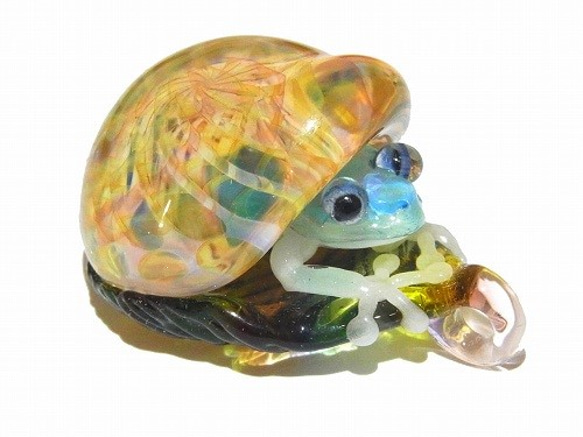 青蛙殼4【肯塔羅/ Kentaro】青蛙硼矽玻璃工藝品作家 第4張的照片