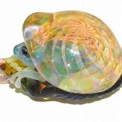 青蛙殼4【肯塔羅/ Kentaro】青蛙硼矽玻璃工藝品作家 第7張的照片