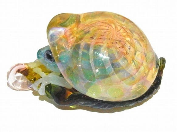 青蛙殼4【肯塔羅/ Kentaro】青蛙硼矽玻璃工藝品作家 第7張的照片