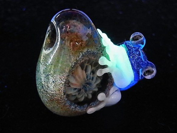 “阿約多羅（5）”【恆太郎/健太郎】日本硼矽酸鹽玻璃工藝品青蛙寶石 第2張的照片