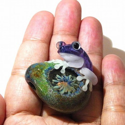 “阿約多羅（5）”【恆太郎/健太郎】日本硼矽酸鹽玻璃工藝品青蛙寶石 第9張的照片