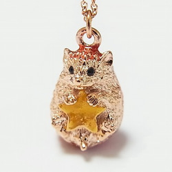 Ichibanboshi Necklace Accessory for a hedgehog that grabs a star 第1張的照片