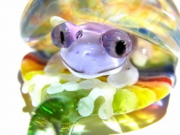 Frog in the Shell 五【 kengtaro ケンタロー 】 カエル ボロシリケイトガラス 職人 作家 蛙 6枚目の画像