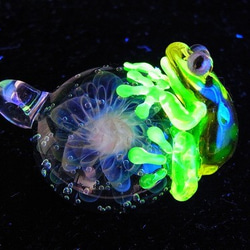 風【 kengtaro ケンタロー 】カエル ボロシリケイトガラス 職人 作家 蛙 かえる フロッグ 個性的 オパール 2枚目の画像